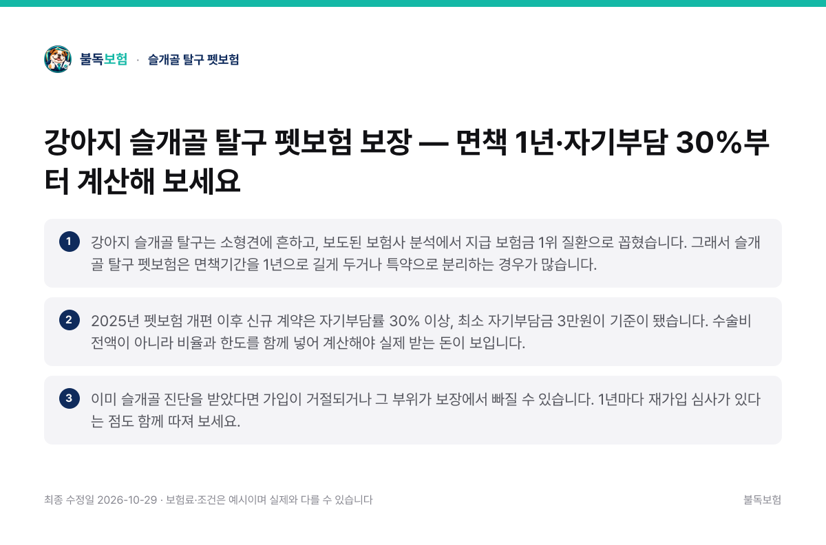 슬개골 탈구 펫보험 핵심 요약 3가지 정리