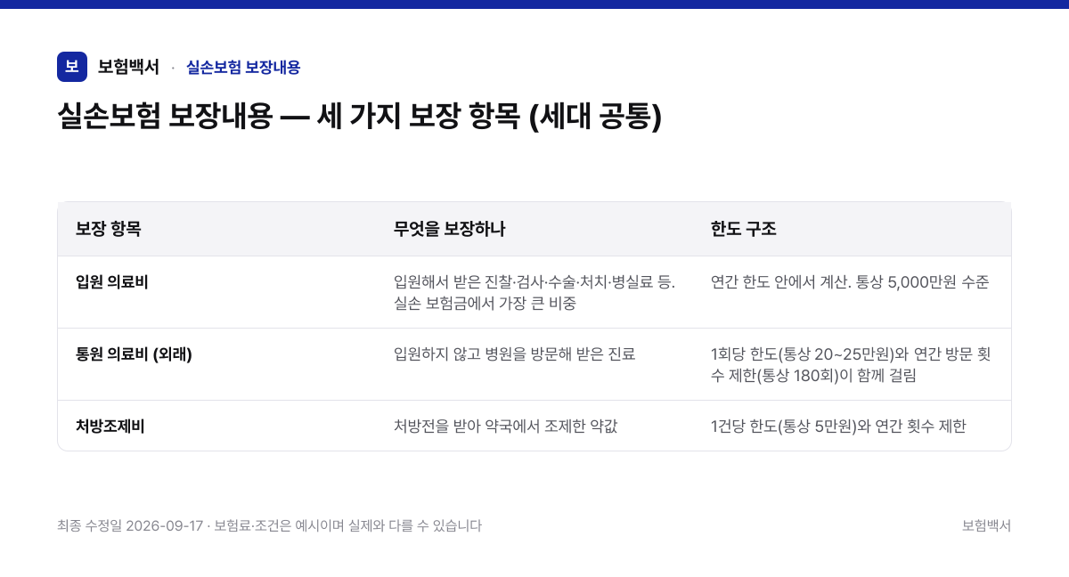 실손보험 보장내용 — 세 가지 보장 항목 (세대 공통) — 실손보험 보장내용 비교표