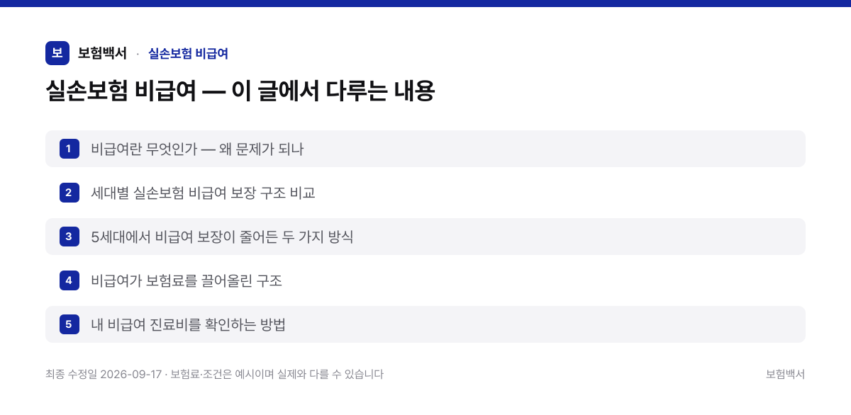 실손보험 비급여 — 이 글에서 다루는 내용 — 실손보험 비급여 정리 이미지